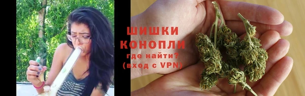 PSILOCYBIN Богородицк