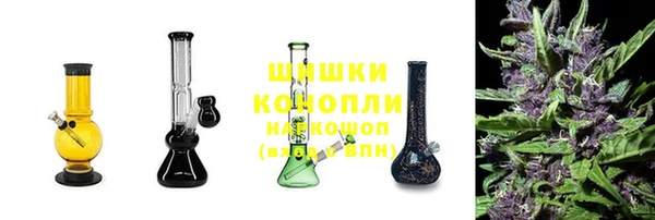 PSILOCYBIN Богородицк