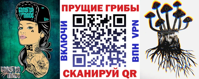 Купить закладки  Высоцк  Псилоцибиновые грибы Magic Shrooms 